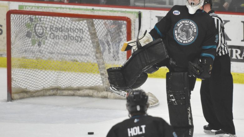 Earthy colored Bears clear Ice Canines, move into third spot